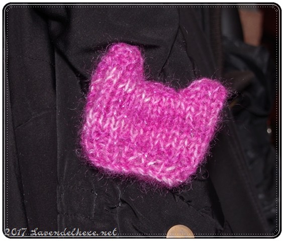 pussyhatbrooche