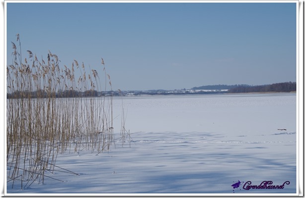 märzsee