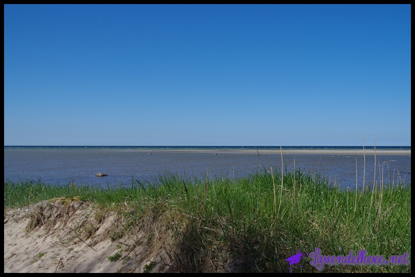 ostsee mit blauem himmel
