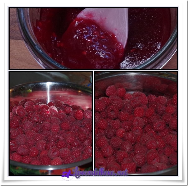 junihimbeeren1