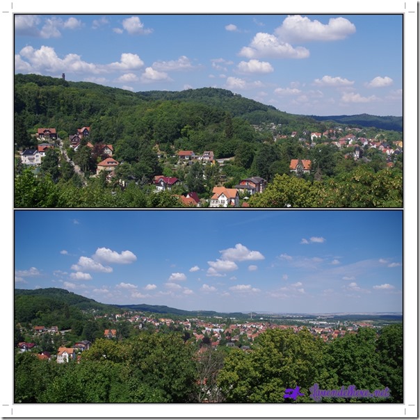 juliharz1