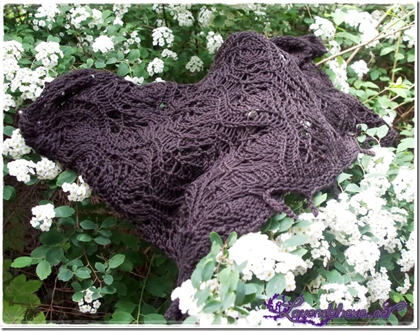 capecowl