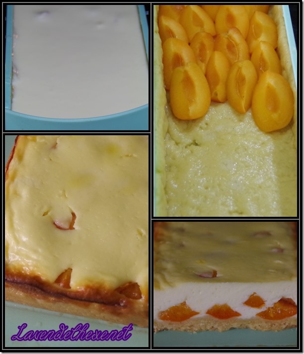 projektkuchen2