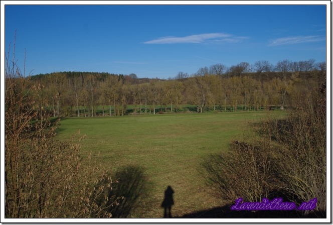 januarblauerhimmel