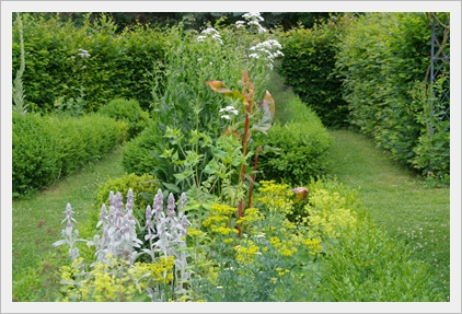 Ein Kräutergarten