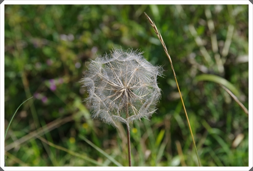 Der Herbst