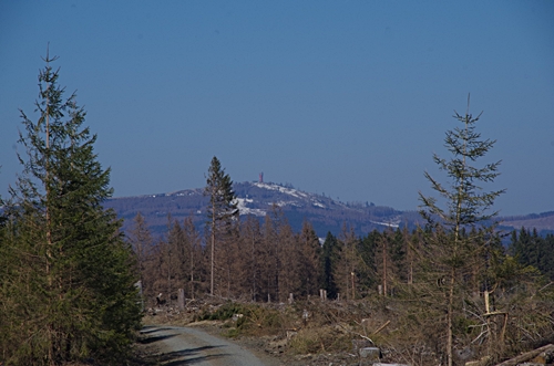 Die Sonne, der blaue Himmel