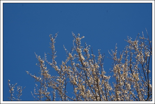 Der Himmel ist wieder blau