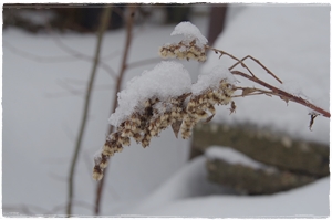 Schnee, viel Schnee