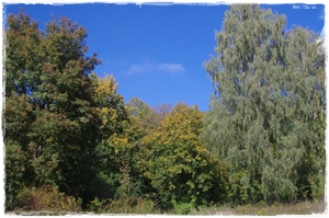 Klein und schnell