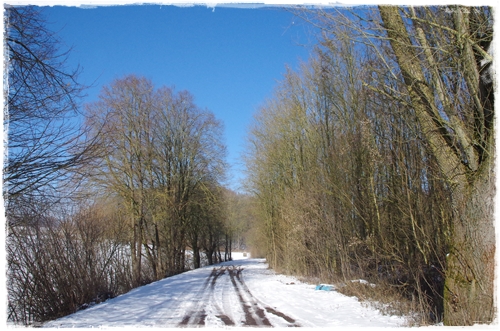 Ein letzter Spaziergang durch