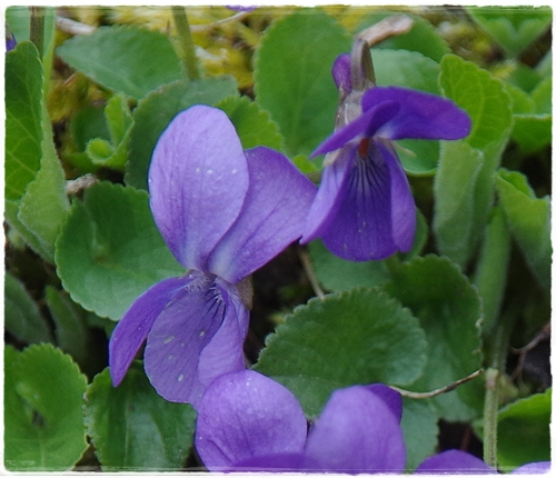 Wieder ein kleines Tuch