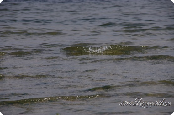 ostsee 035